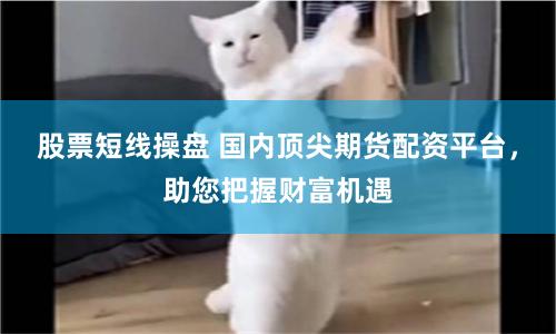 股票短线操盘 国内顶尖期货配资平台，助您把握财富机遇