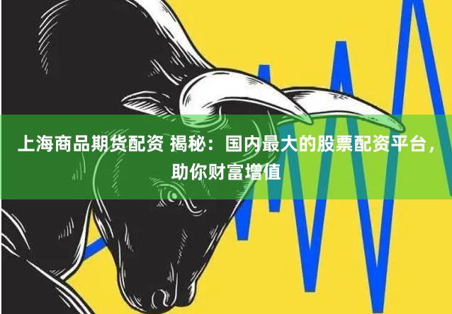 上海商品期货配资 揭秘：国内最大的股票配资平台，助你财富增值