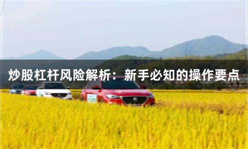 炒股杠杆风险解析：新手必知的操作要点