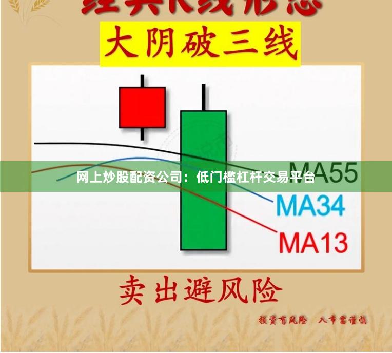 网上炒股配资公司:低门槛杠杆交易平台